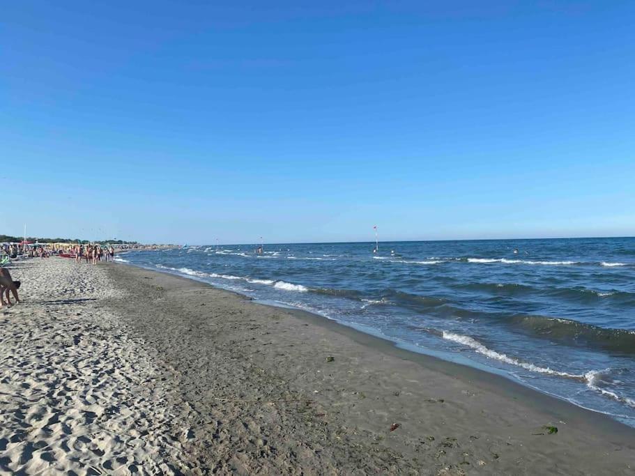 “Casa Alex” A Pochi Km Dal Mare Villa Scardovari Luaran gambar